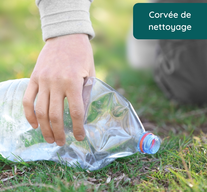 Corvée de nettoyage. Main ramassant une vieille bouteille de plastique sur la pelouse.