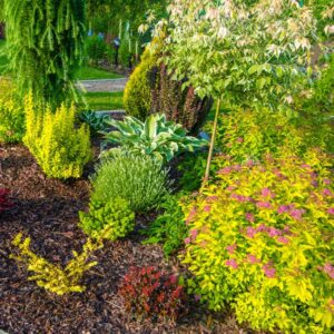 Photo d'un jardin de fleur et de plantes.