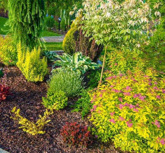 Photo d'un jardin de fleur et de plantes.